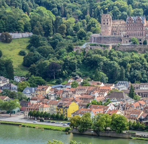 粉象生活升级后大概几天才看到收入