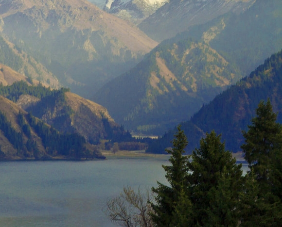 粉象生活推广的作用