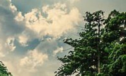 绥化最低生活标准