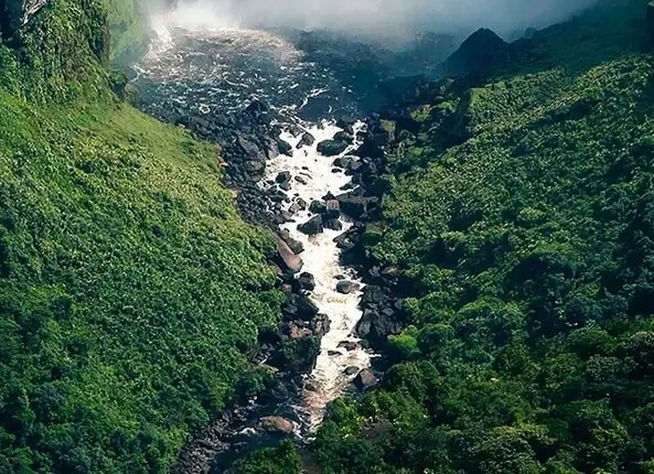 粉象生活怎么做专栏
