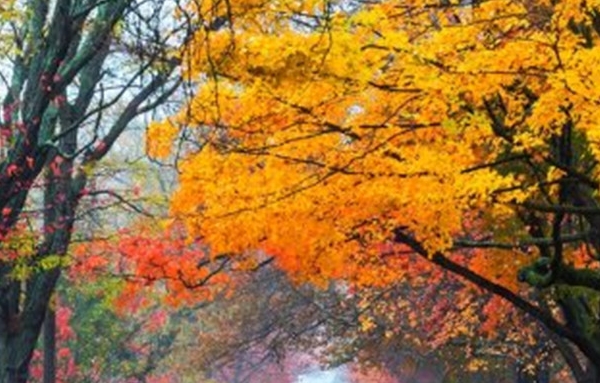 西安知象光电科技有限公司