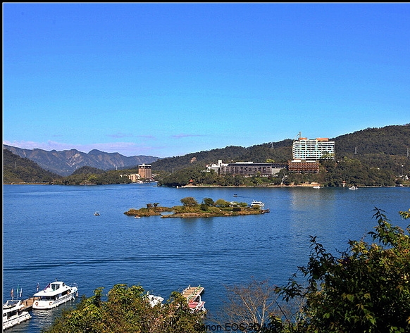 粉象啤酒属于什么酒