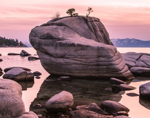 粉象生活需要发朋友圈吗