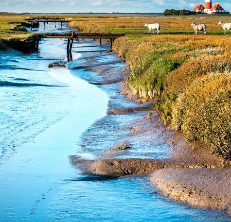粉象生活拉不到人能赚佣金吗