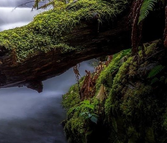 湖南粉象生活赚钱么