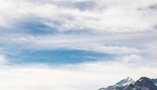 一站式粉象生活网站