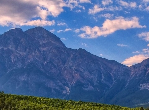 中国粉象生活直播