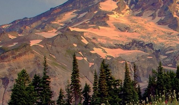 高省和粉象生活哪个靠谱