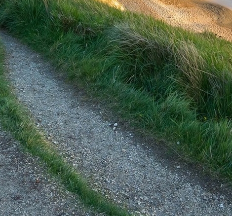 兴业信用卡悠逸商旅白金信用卡