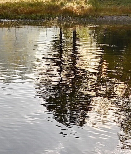 粉象生活开通VIP有什么好处