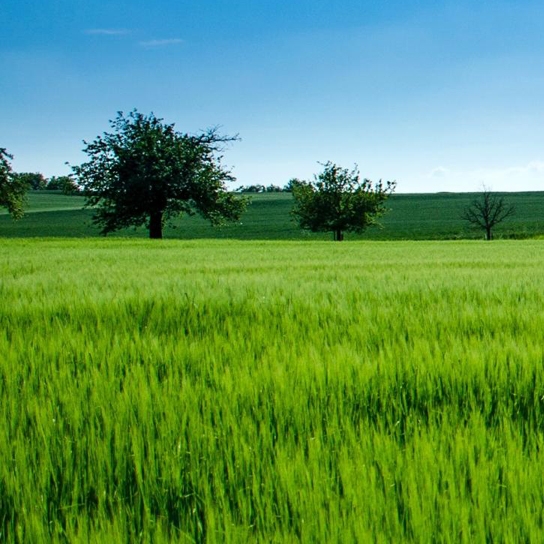 粉象生活滚雪球收益