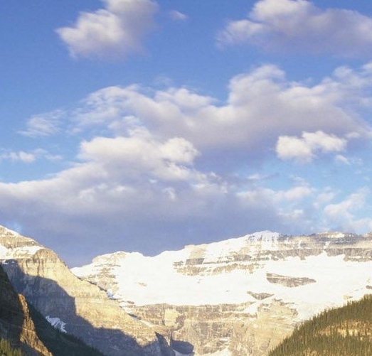 粉象生活怎么快速推广