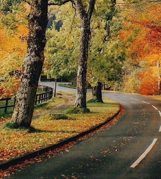 粉象生活必须分享吗