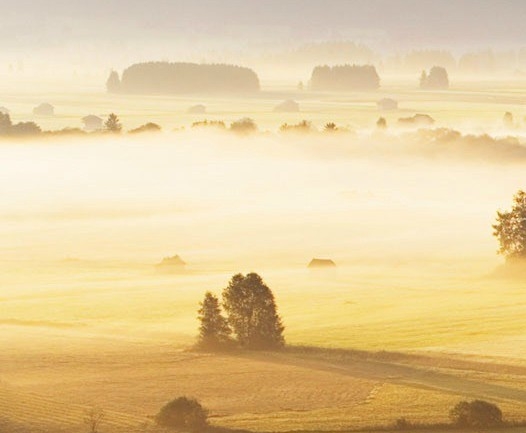 粉象生活宝妈如何挣钱