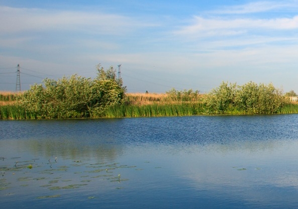 粉象生活怎么赚钱的