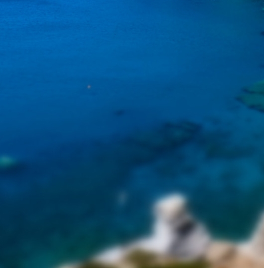 阳江粉象生活如何使用