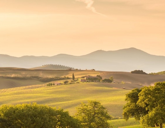 粉象生活怎么做任务