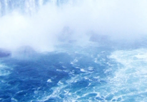 东莞粉象生活加盟代理