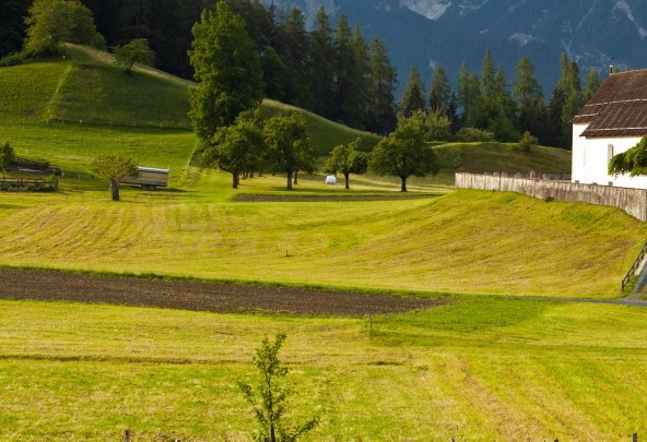 粉象生活哪年注册的