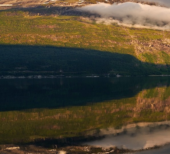 粉象生活能赚到钱吗
