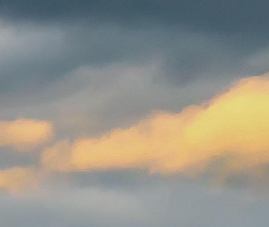 雪球爱宠大机密