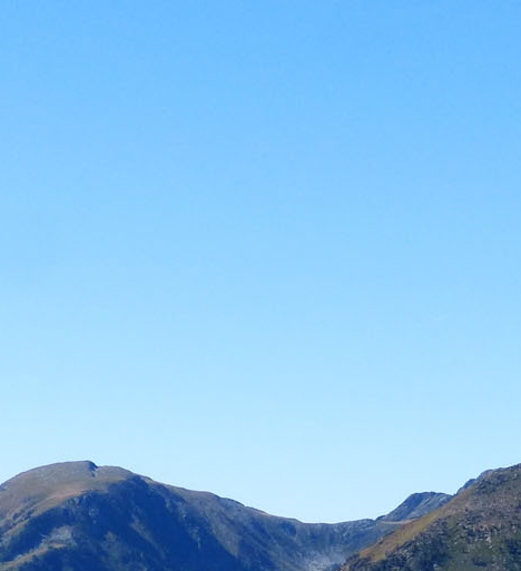 粉象生活能赚到钱吗