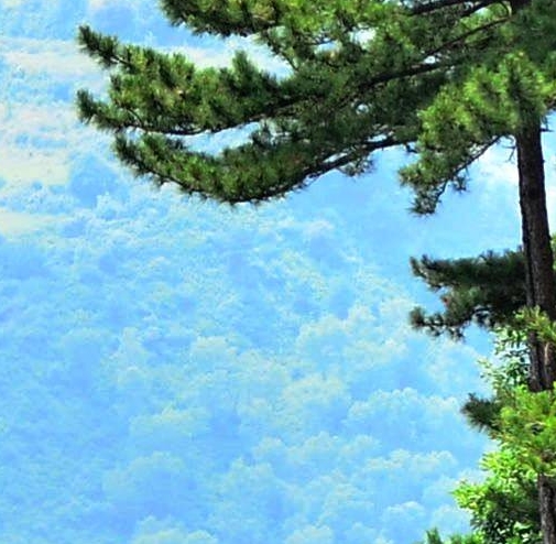 安庆生活垃圾焚烧发电厂