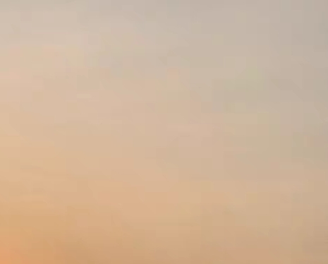 粉象生活早起打卡