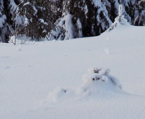 鞍山粉象生活注册