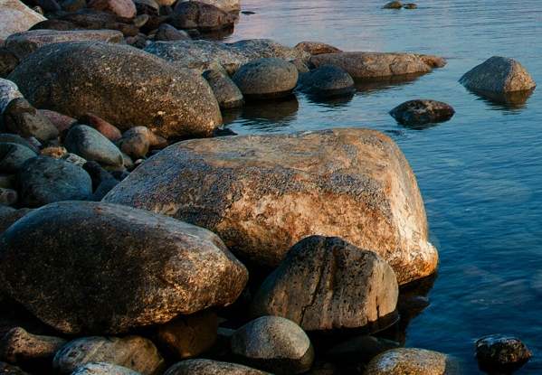 粉象生活佣金哪来