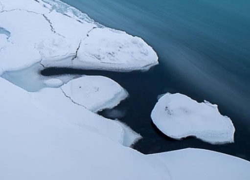 果冻宝盒和粉象生活哪个好