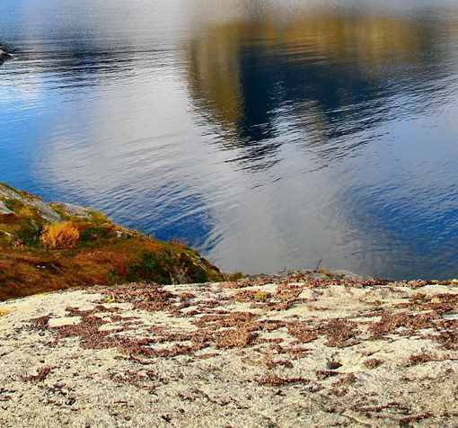 粉象生活在哪里看历史记录