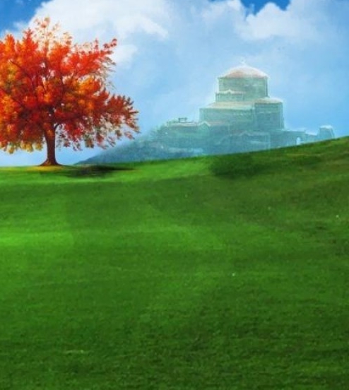 广州粉象生活能拿几代佣金