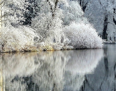 粉象生活怎么查看以往的佣金记录