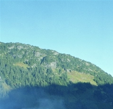 粉象生活登录模式