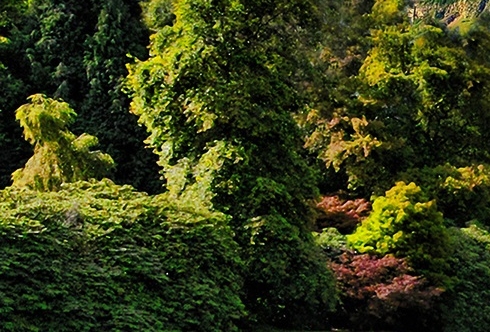 粉象生活邀请码