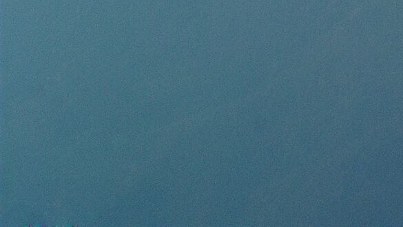 粉象生活下载app