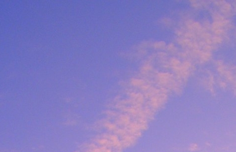 粉象生活商城是什么东西