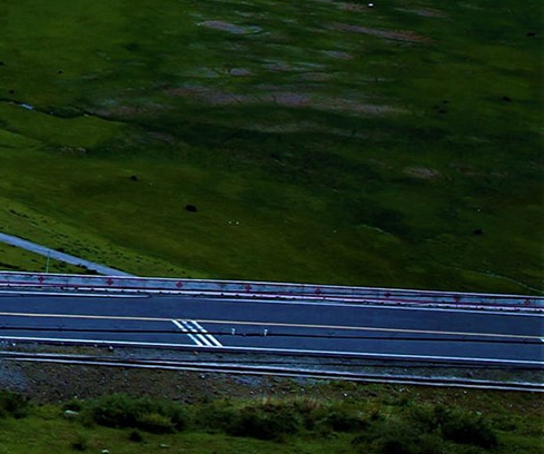 粉象生活宣传图