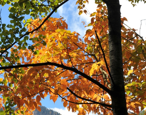 我的口罩生活作文