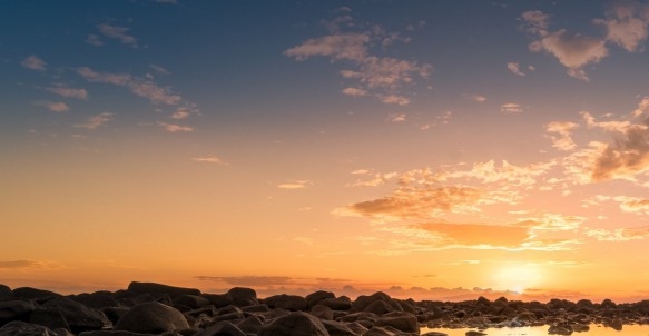 拼多多入驻开店