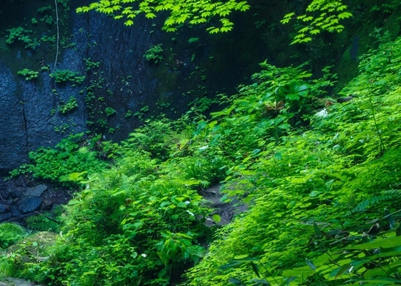 粉象生活能赚到钱吗