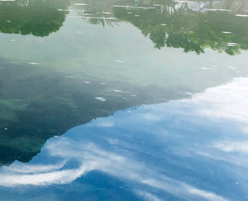 粉象生活是真的吗?真的能赚到钱吗