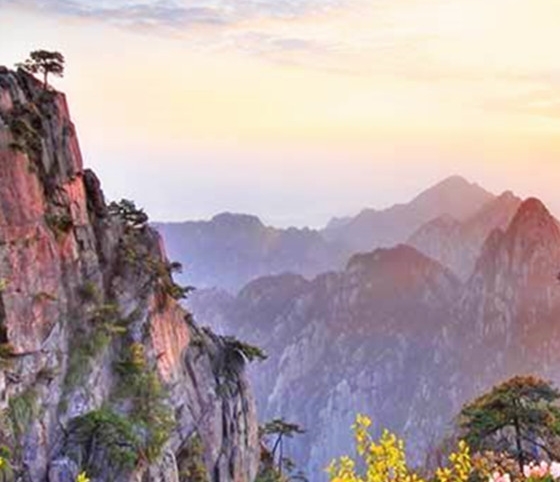 粉象生活如何捡漏