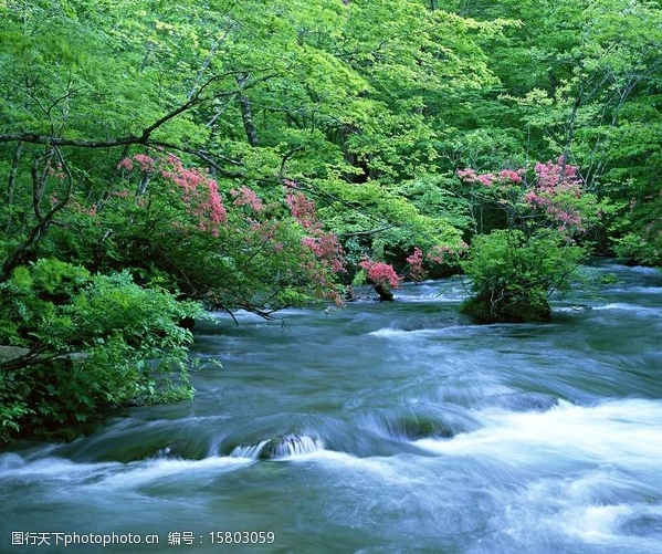 山东品质粉象生活软件