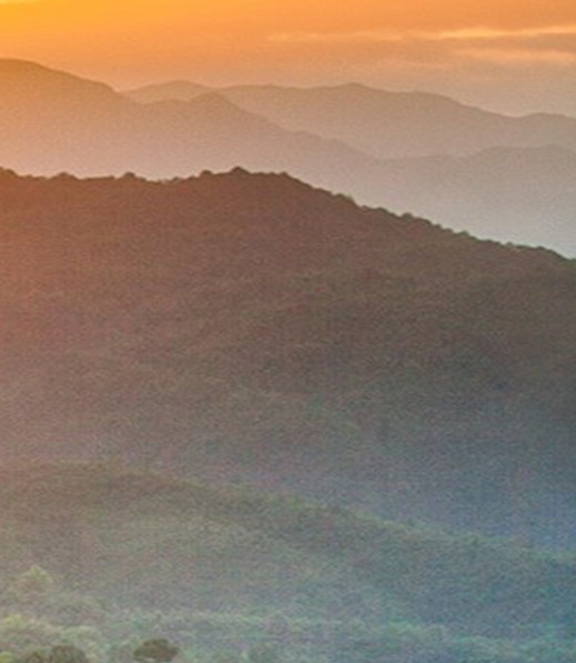 粉象生活乱发货不换货