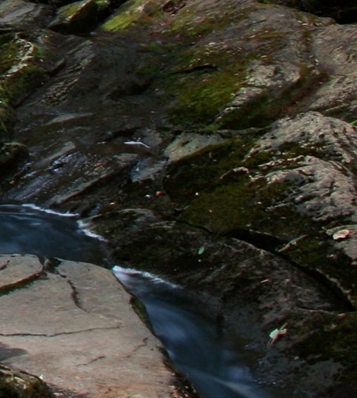 粉象生活时代邀请码