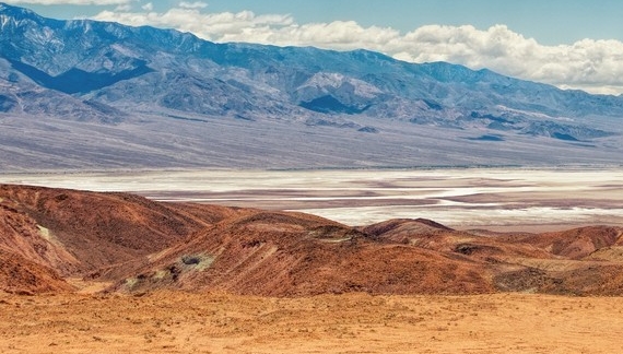 粉象生活 购物车