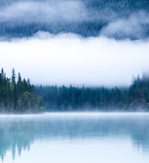 怎么选择粉象生活