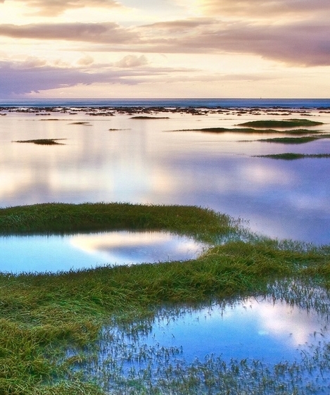 高省和粉象生活哪个更有优势